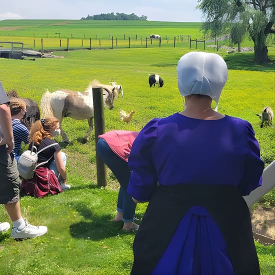 Authentic Tour & Meal with the Amish!