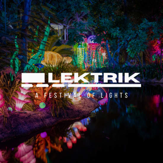 Lektrik: A Festival of Lights - Waitlist