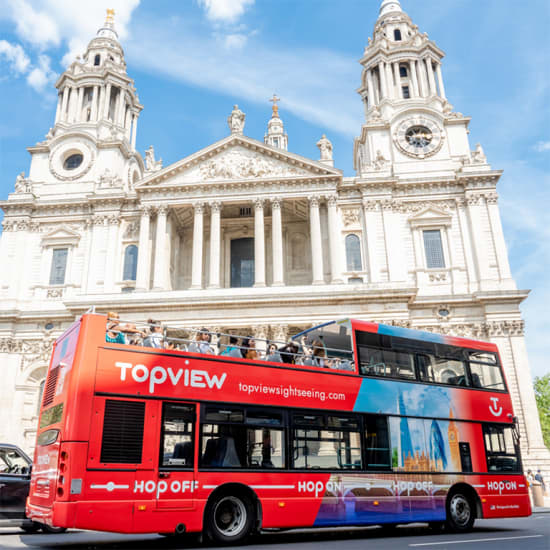 48-Hour Hop on Hop Off London Bus Tour with Thames River Cruise