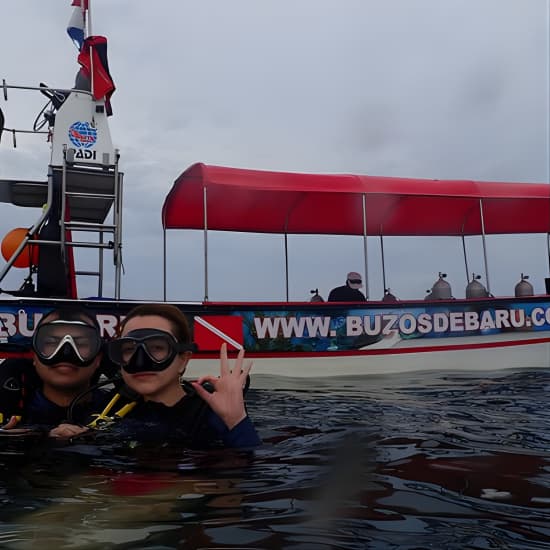 One-Day Diving Mini Course – Discover Scuba Diving