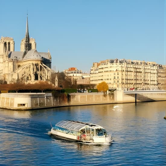 VIP Paris in a Day Tour with River Cruise Small Group or Private