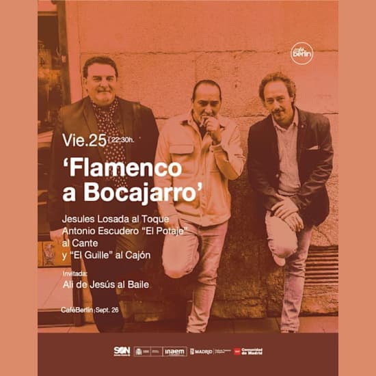 Flamenco a Bocajarro