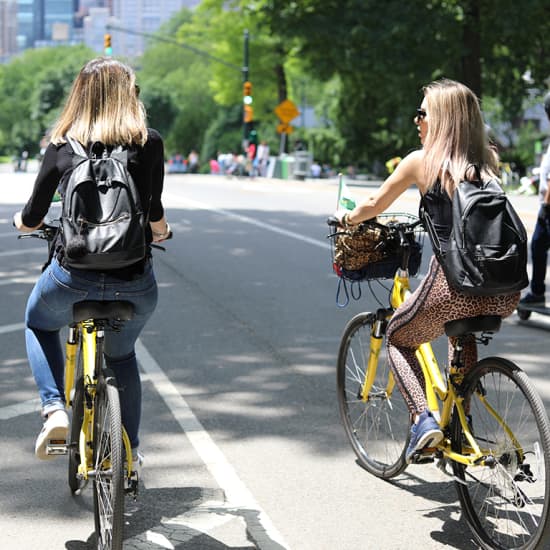 Central Park Picnic & Full-Day Bike Rental