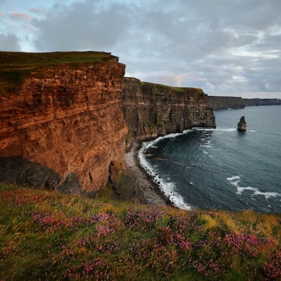 Cliffs of Moher: Premium Tour from Dublin with Cruise and Sheepdog Demo