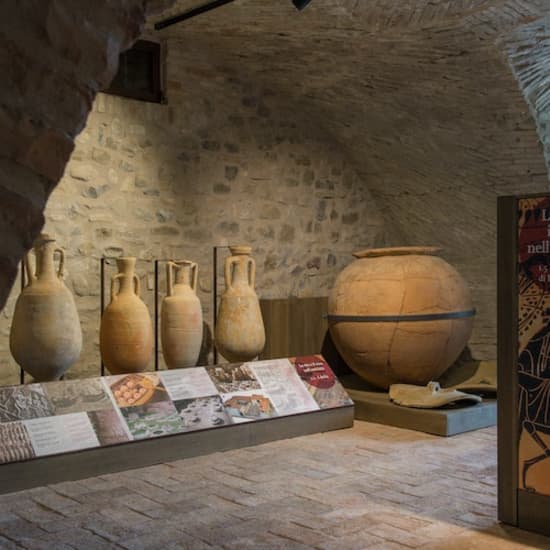 Musei del Cibo: Museo del Vino
