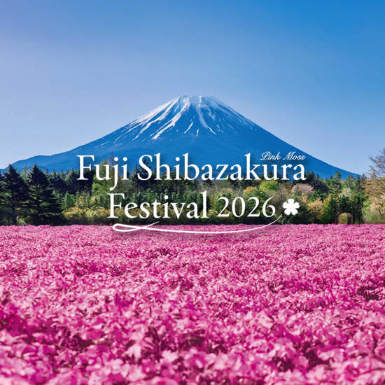 Fuji Shibazakura Festival