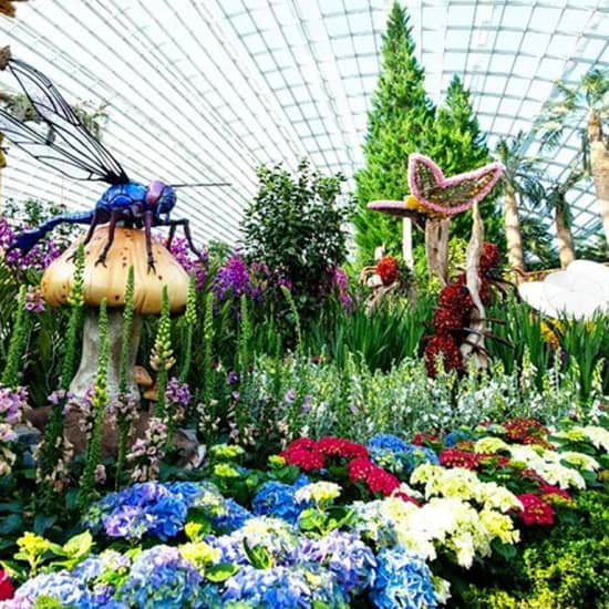 Gardens By The Bay Admission Ticket