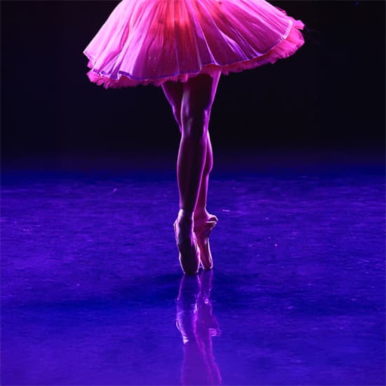 Ballet of Lights: Sleeping Beauty