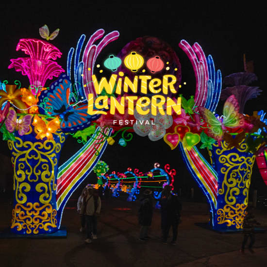 Winter Lantern Festival - Atlanta, GA