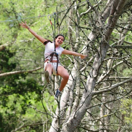 Dia de arborismo para pequenos Tarzans no Jamor