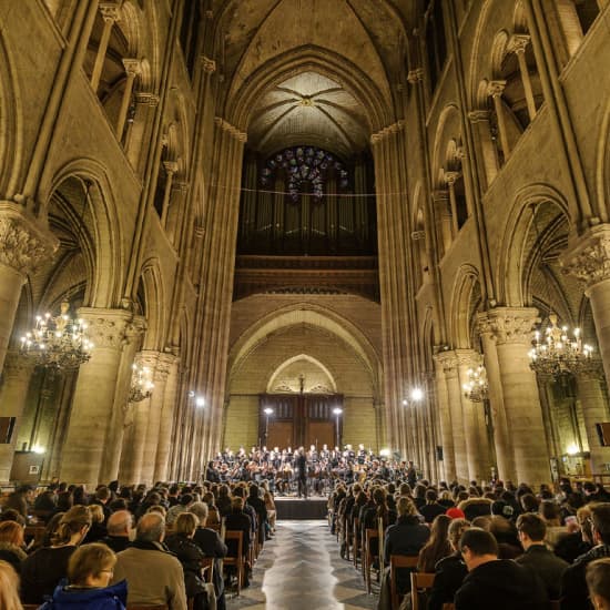 Maîtrise Notre-Dame de Paris : Concert Joy & Reflection à Saint-Eustache