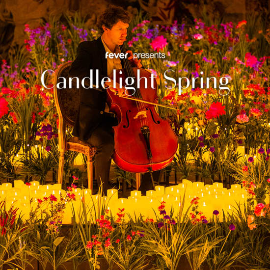 Candlelight Spring: A Tribute to Pink Floyd