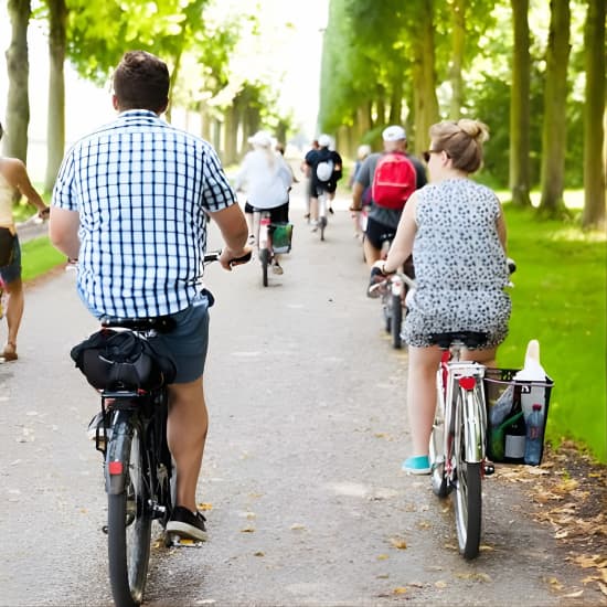 Tour de Versailles à vélo VIP en petit groupe au départ de Paris avec Accessibilité aux appartements du roi