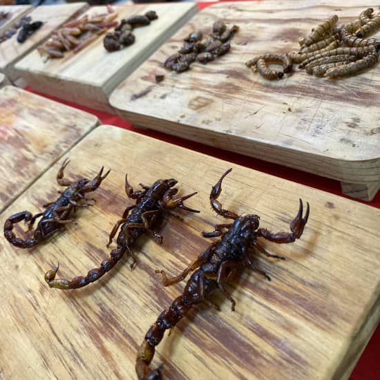 Explora los Sabores y la Cultura de CDMX: Degustación de Tacos, Carnes Exóticas e Insectos