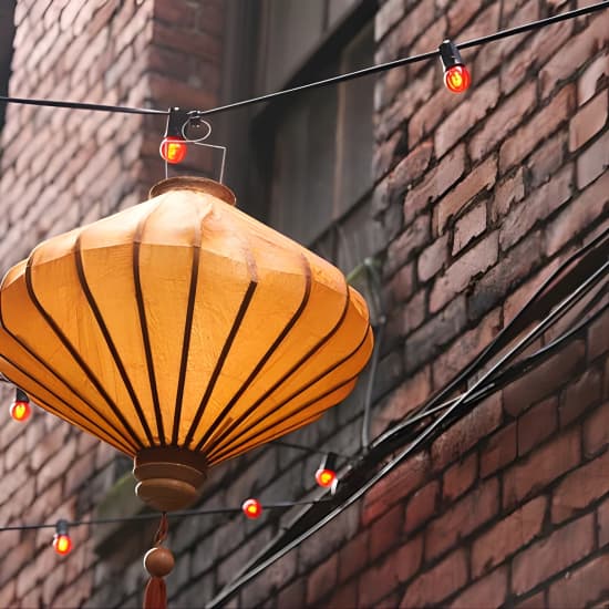 Historical Chinatown Walking Tour