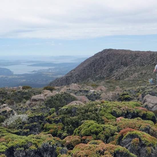 2-Hour Return kunanyi/Mt Wellington Explorer Bus