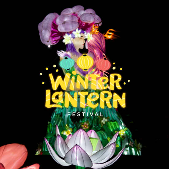 Imagem do evento Winter Lantern Festival (Snug Harbor)