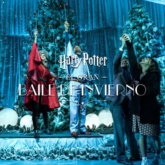 Harry Potter: El Gran Baile de Invierno