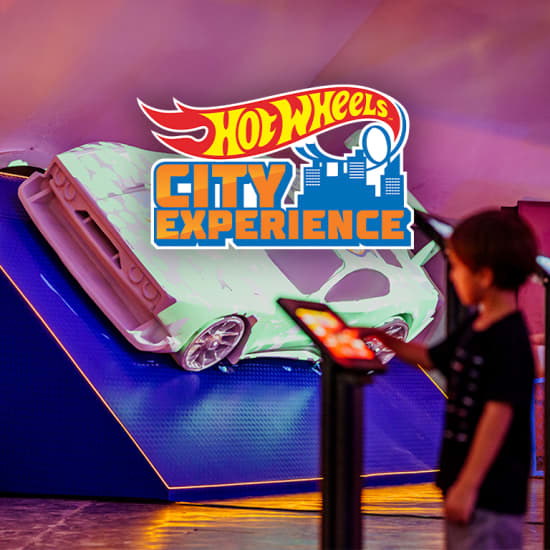 Hot Wheels City Experience Belo Horizonte