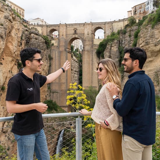 Tres ciudades en un día: Ronda, Pueblos Blancos y Sevilla desde Málaga - Tour Premium en Grupo Pequeño