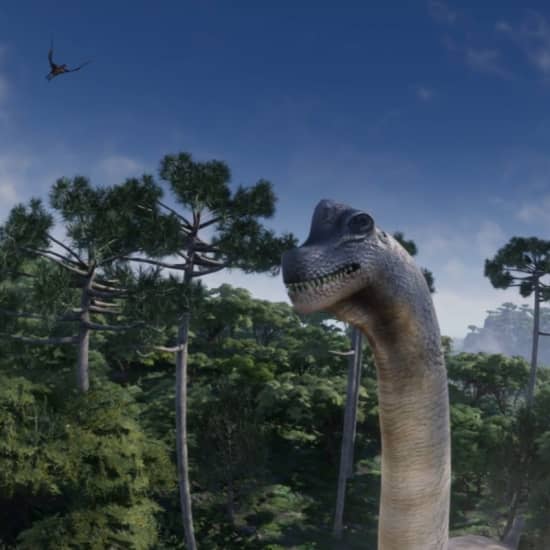 Pereira Bajo las Estrellas - Colombia Tierra de Gigantes