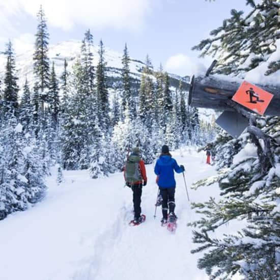 Snowshoeing in Kananaskis