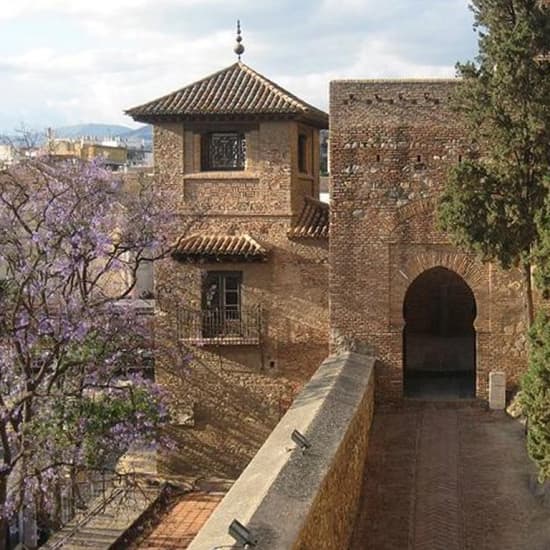 Visita guiada a pie por la Alcazaba de Málaga