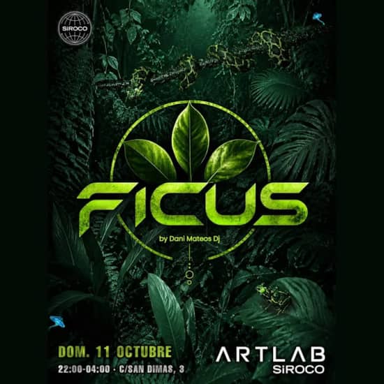 Ficus by Dani Mateos dj