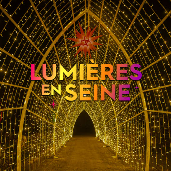 Lumières en Seine: el recorrido iluminado y musical de las fiestas - Entrada Liberté