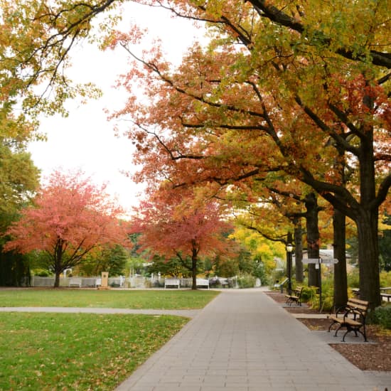 Fall Highlights Tour at Queens Botanical Garden