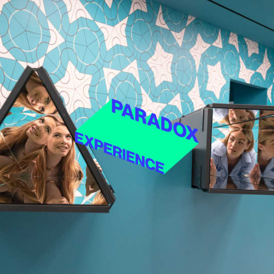 Paradox Experience New Jersey