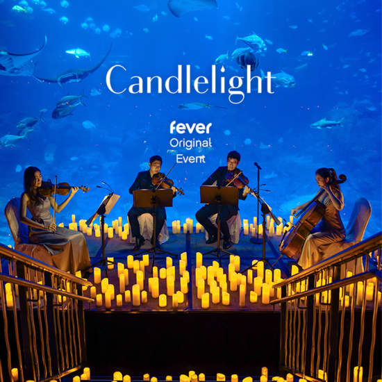 ﻿Candlelight : Hommage à Oasis à l'aquarium Sea Life