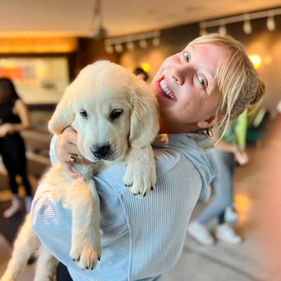 Puppy Yoga in New York