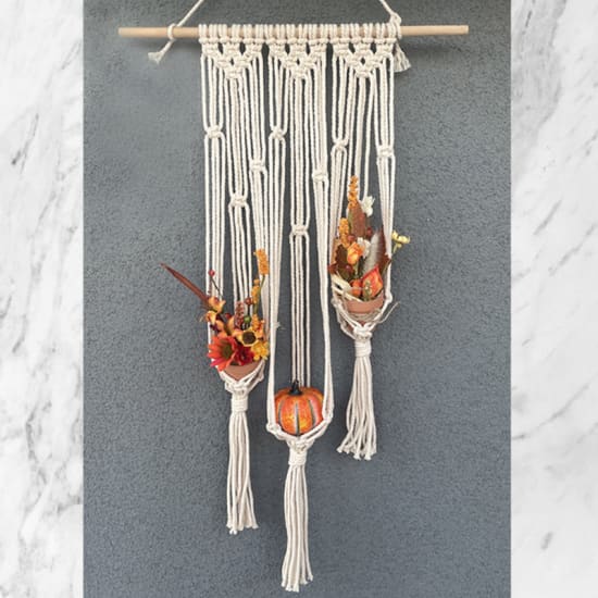 Fall Macramé Plant Hanger Workshop