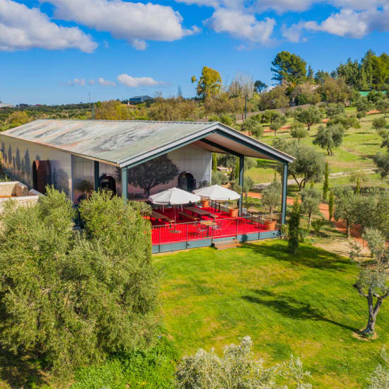 Ronda y Degustación de Aceite de Oliva: Excursión de un Día en Grupo Pequeño desde Málaga