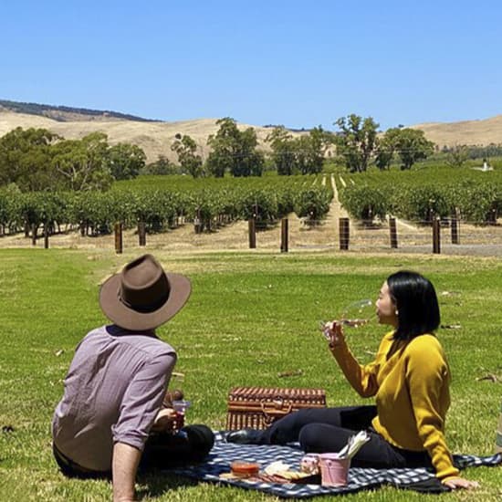 Private Picnic and Wine Tasting Experience in Barossa Valley