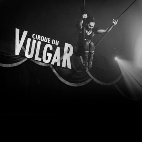 Cirque Du Vulgar!