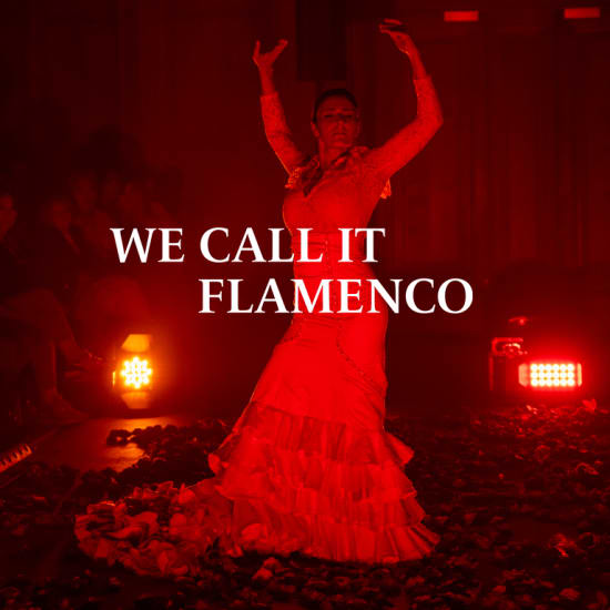 We Call It Flamenco - Paris - Billets | Fever