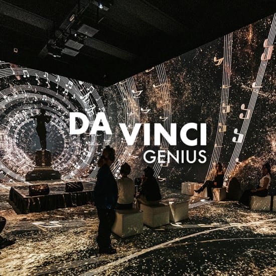 Da Vinci Genius: An Immersive Experience