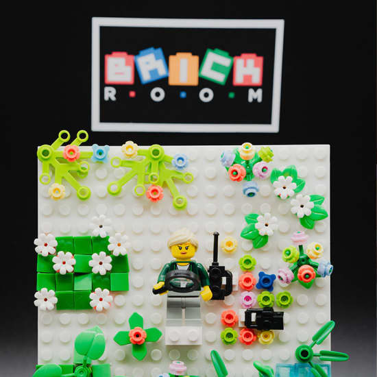 Affiche Brick and Drink Imagine, assemble et repars avec une figurine unique et un décor, à ton image !