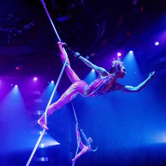 Cirque du Soleil: espectáculo online