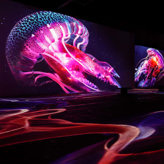 Port des Lumières Kombi-Ticket