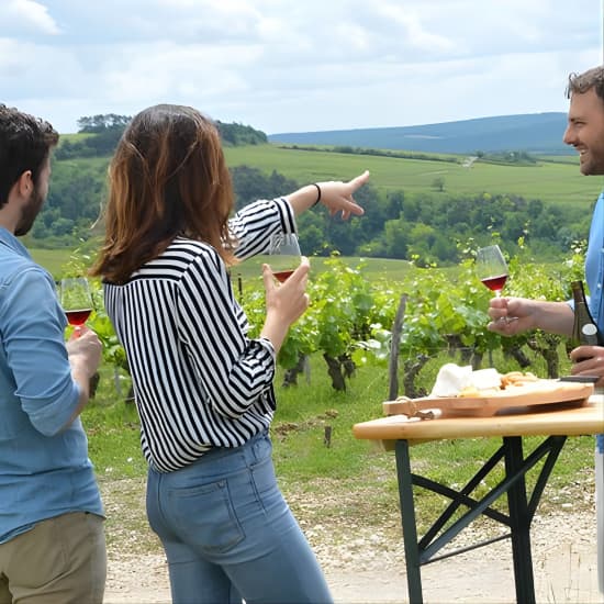 Excursión de un día a la Degustación de Vinos del Norte de Borgoña y Chablis desde París