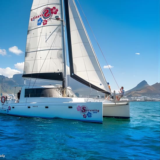 Champagne Cruise (Pre-Sunset) from Cape Town