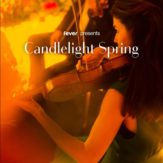 Candlelight Spring: Best of Anime Themes