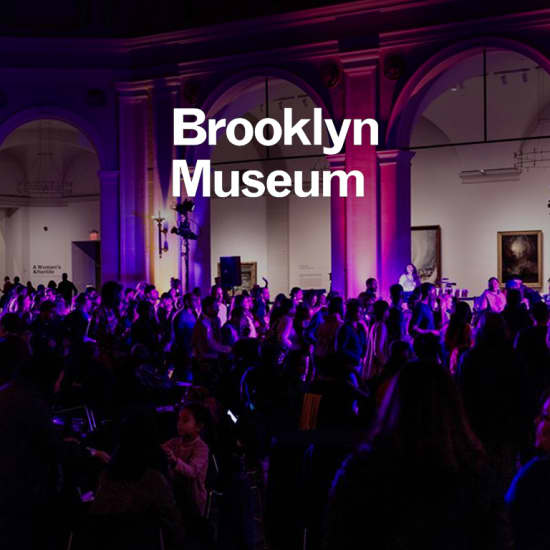 Brooklyn Museum First Saturday Online Party New York Fever