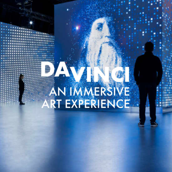 Da Vinci: An Immersive Art Experience