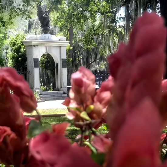 Botanical Tour (by Walk With Me Savannah Tours)
