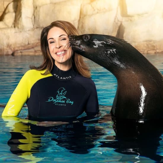 Atlas Village - Sea Lion Experiences at Atlantis The Palm, Dubai, United Arab Emirates