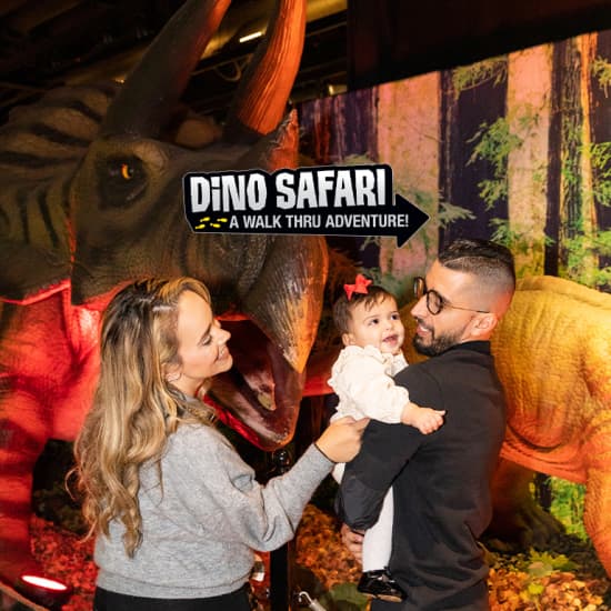 Dino Safari: A Walk-Thru Adventure